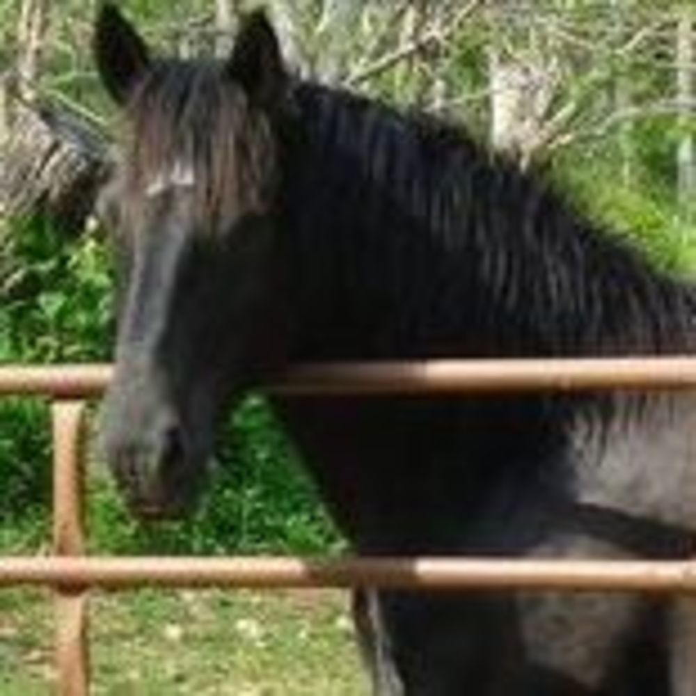 Meet your Posher, Sherrie